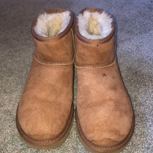 Chestnut short uggs